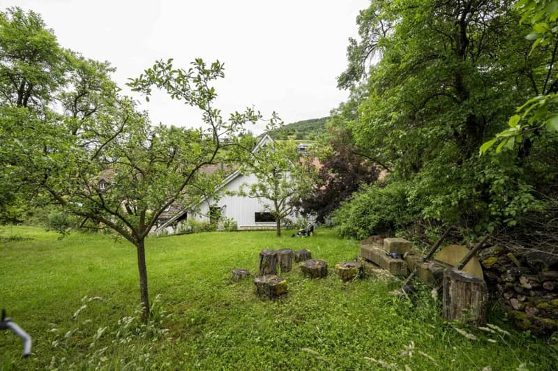 Mehrfamilienhaus mit Ausbau- und Baulandreserve (15)