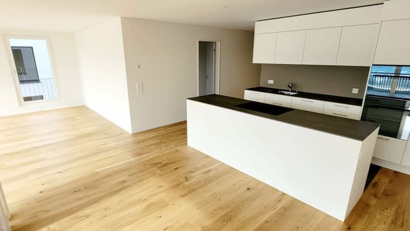 4.5-Zimmer-Wohnung (Dachgeschoss) (6)