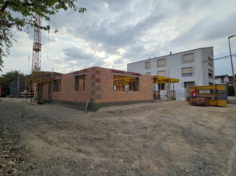 4.5 Zimmer-Wohnung mit Hobbyraum und Carport (5)