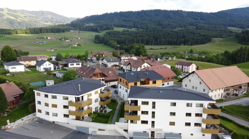 Moderno / Vista / 20min da Friburgo (4)