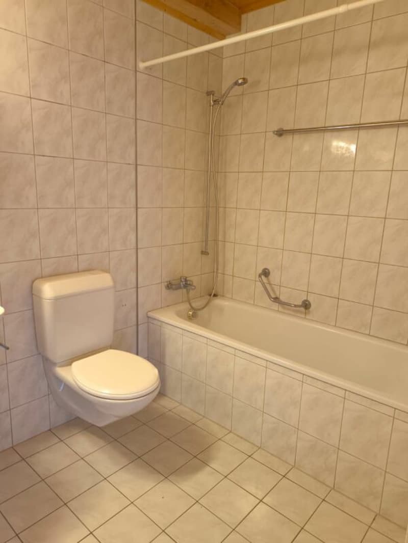 Grosse 4,5Zi Wohnung mit zusätzlicher Gallerie (10)