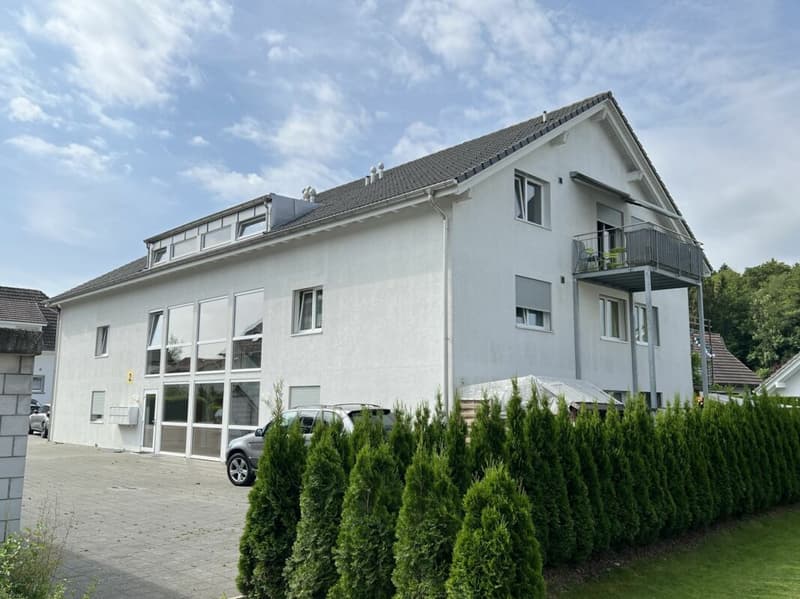 Helle 3,5-Zi Wohnung (2)