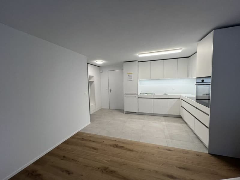 Schmucke 2,5 Zi mit Privatsitzplatz (9)