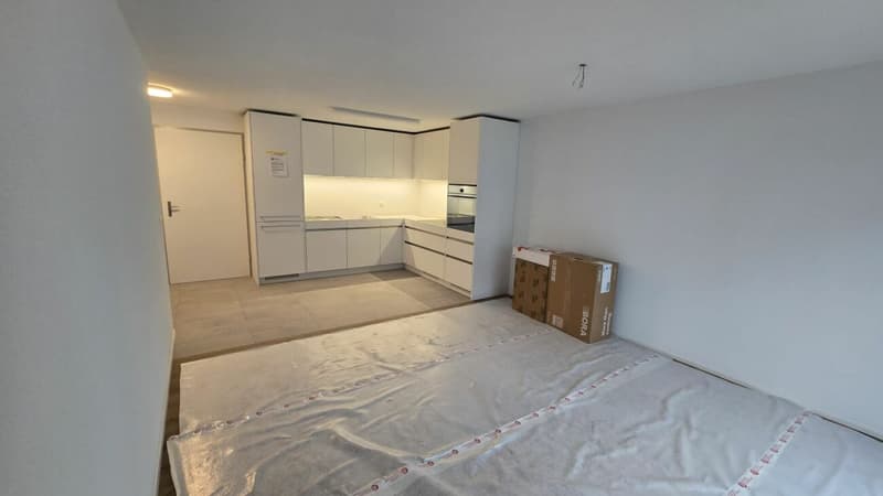 Schmucke 2,5 Zi mit Privatsitzplatz (4)