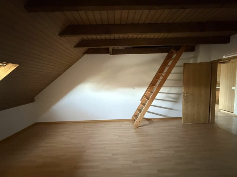 Grosse 4,5 Zimmer für 5-15 Monate (14)
