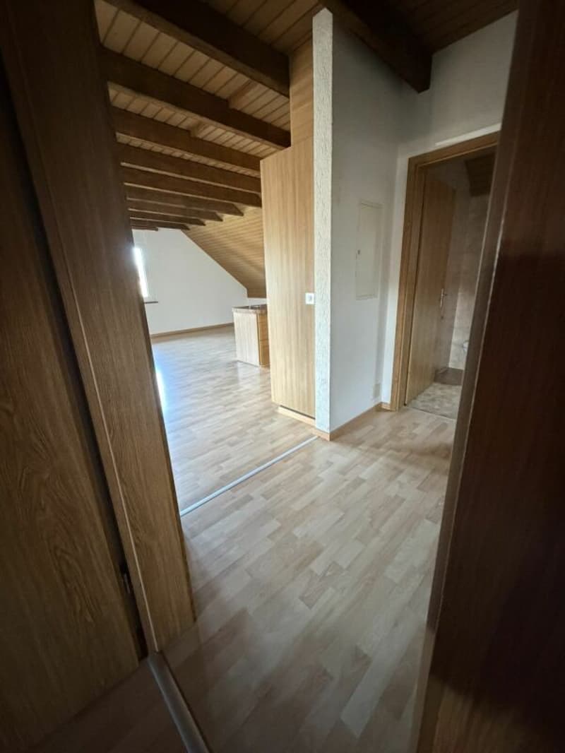 Grosse 4,5 Zimmer für 5-15 Monate (8)