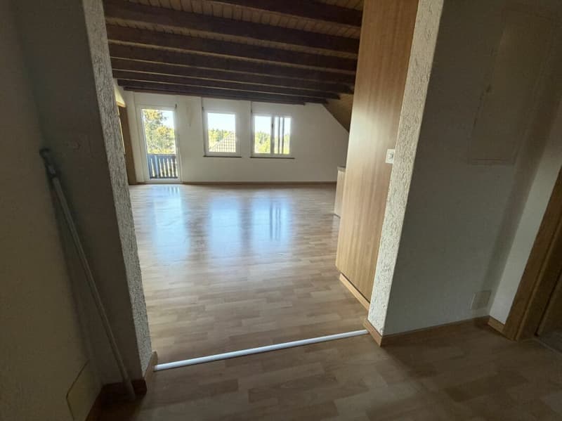 Grosse 4,5 Zimmer für 5-15 Monate (13)