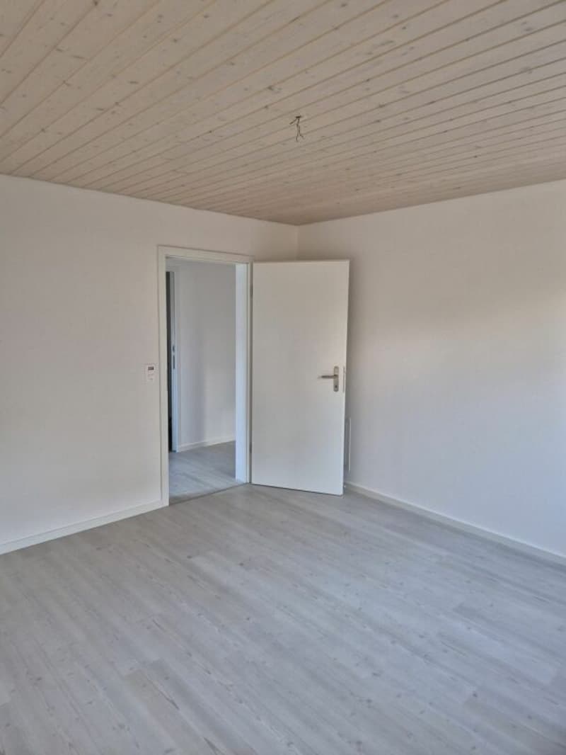 3.5 Zi sonnige Gartenwohnung (12)