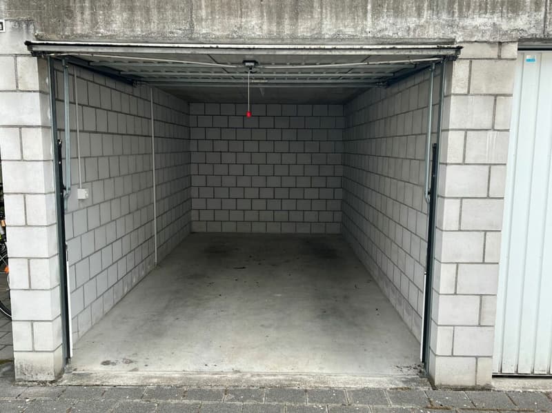 3.5 Zi sonnige Gartenwohnung (20)