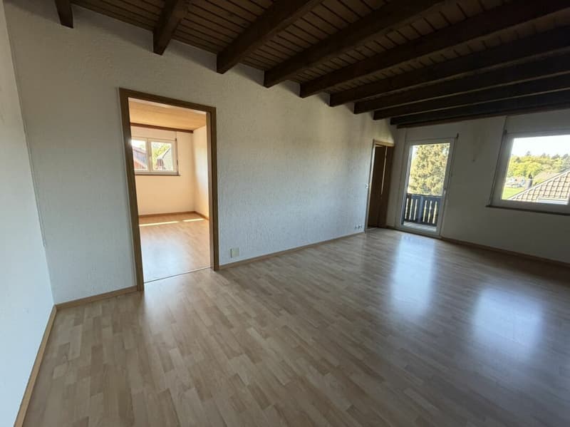 Grosse 4,5 Zimmer für 5-15 Monate (10)