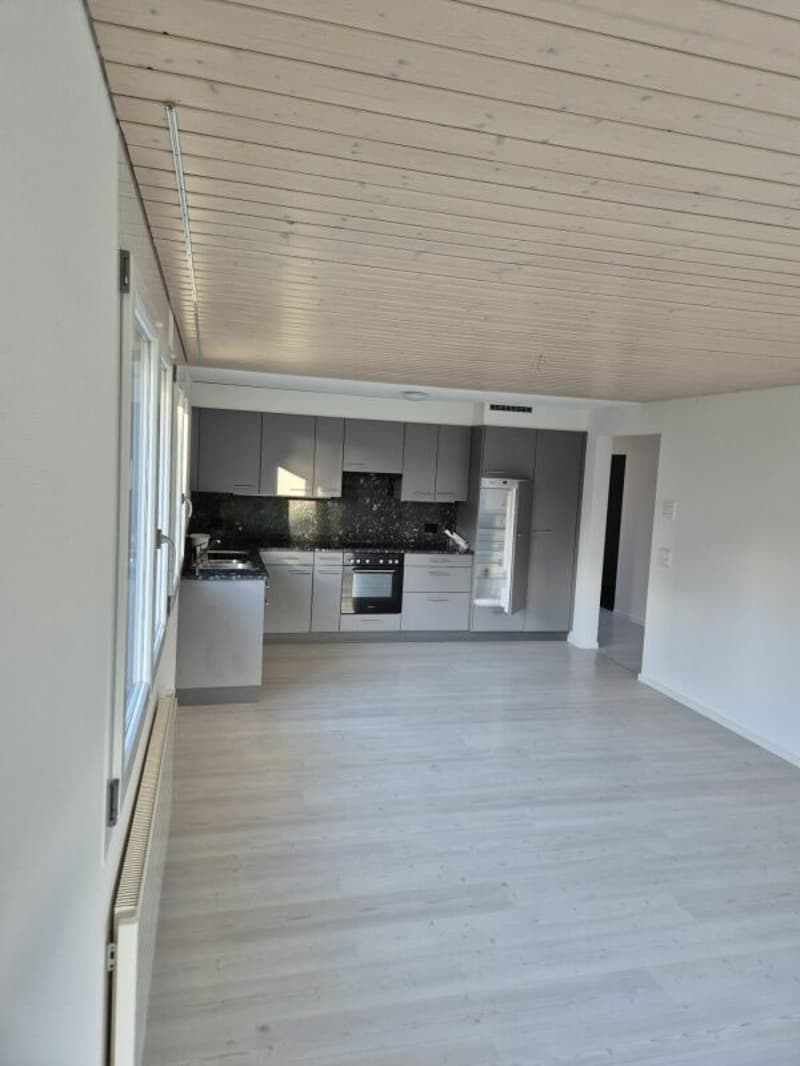3.5 Zi sonnige Gartenwohnung (8)