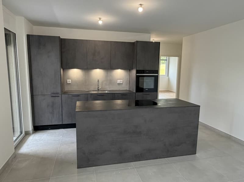 LE TOUT DERNIER APPARTEMENT 4,5 pièces en formule * Location - Achat * Vulliama (5)