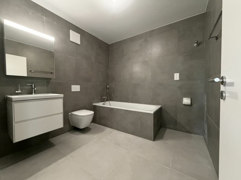 LE TOUT DERNIER APPARTEMENT 4,5 pièces en formule * Location - Achat * Vulliama (12)