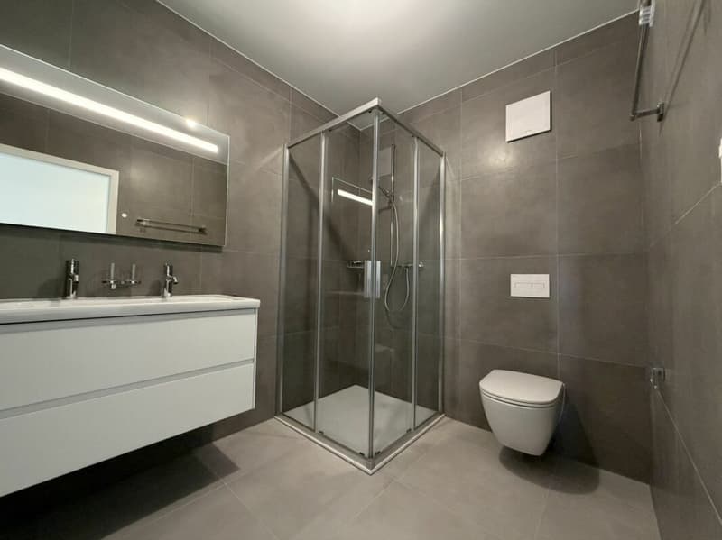 LE TOUT DERNIER APPARTEMENT 4,5 pièces en formule * Location - Achat * Vulliama (14)