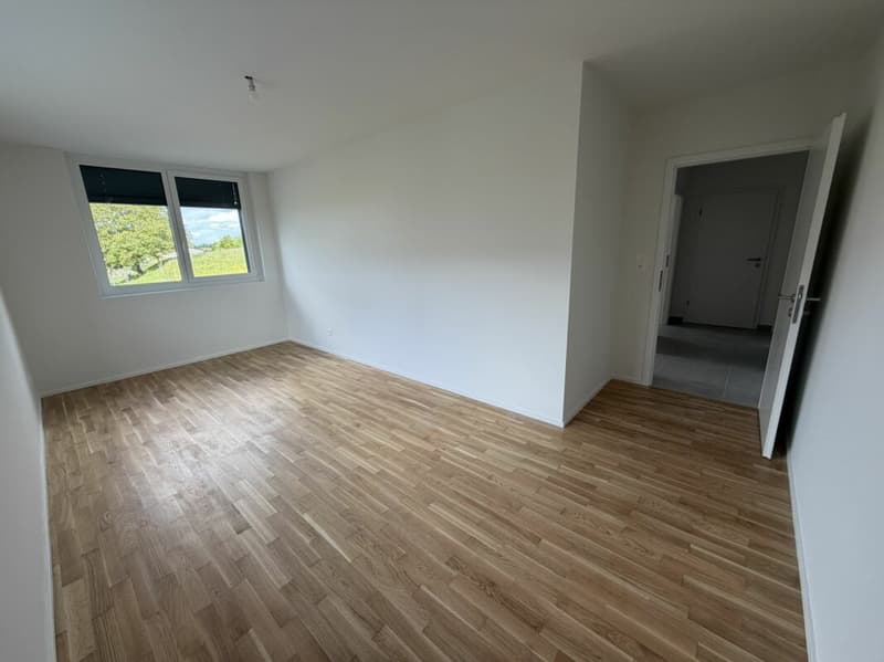 LE TOUT DERNIER APPARTEMENT 4,5 pièces de la promotion Vulliama (15)
