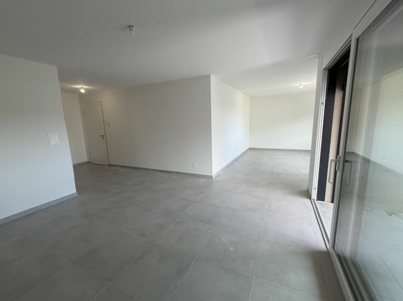 LE TOUT DERNIER APPARTEMENT 4,5 pièces de la promotion Vulliama (20)