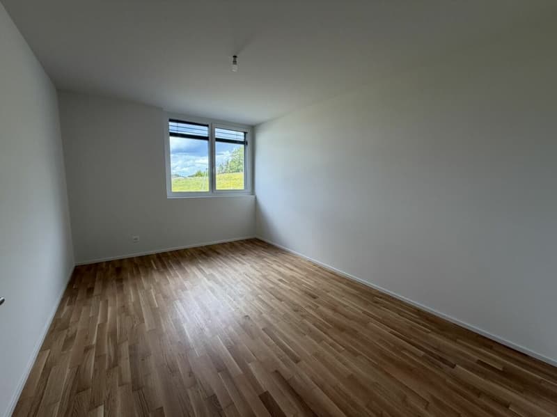 LE TOUT DERNIER APPARTEMENT 4,5 pièces de la promotion Vulliama (18)