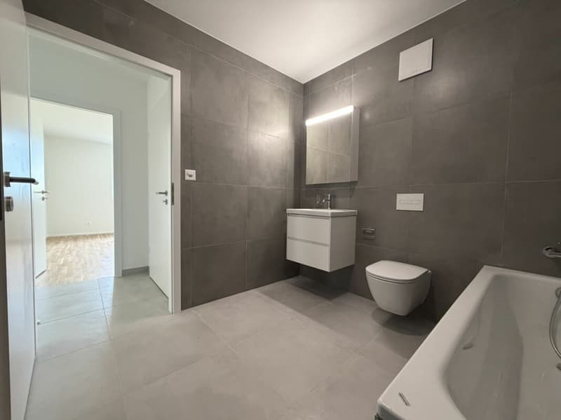 LE TOUT DERNIER APPARTEMENT 4,5 pièces de la promotion Vulliama (11)