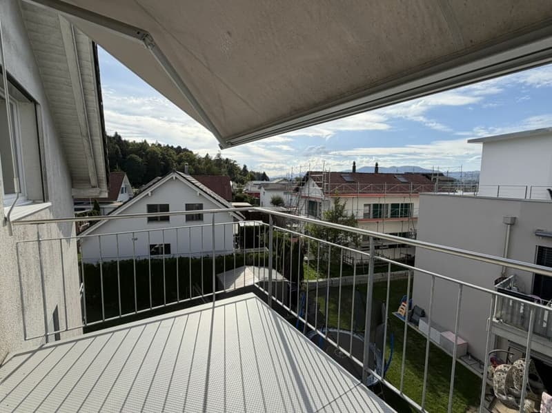 3.5 Zi helle Dach Wohnung (16)