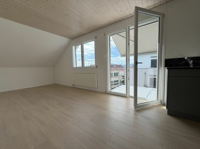 3.5 Zi helle Dach Wohnung (4)