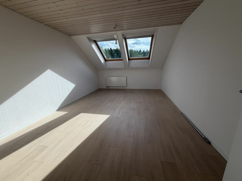 3.5 Zi helle Dach Wohnung (11)