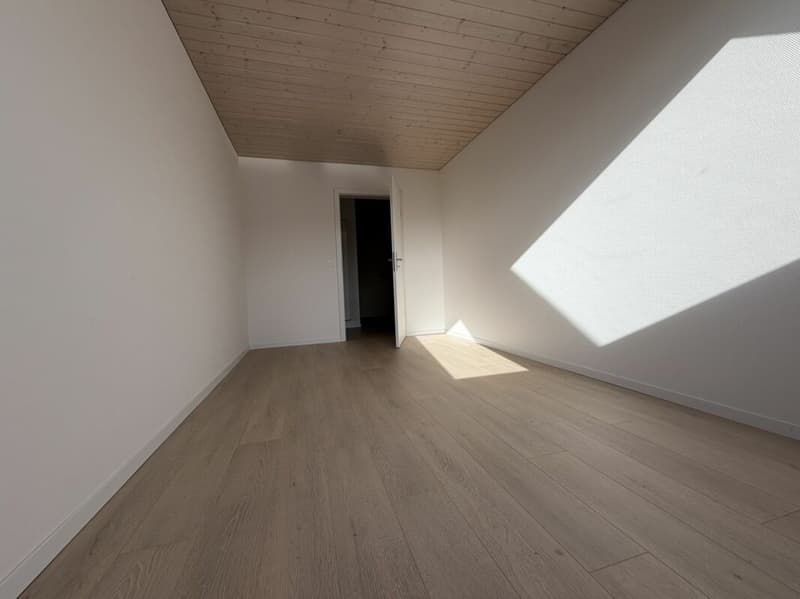 3.5 Zi helle Dach Wohnung (13)