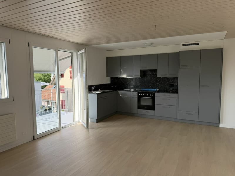 3.5 Zi helle Dach Wohnung (5)