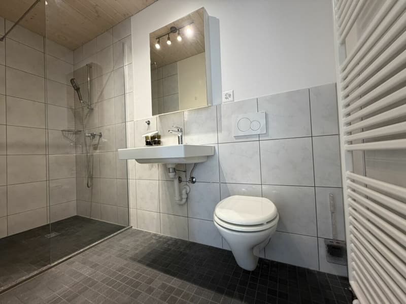 3.5 Zi helle Dach Wohnung (14)