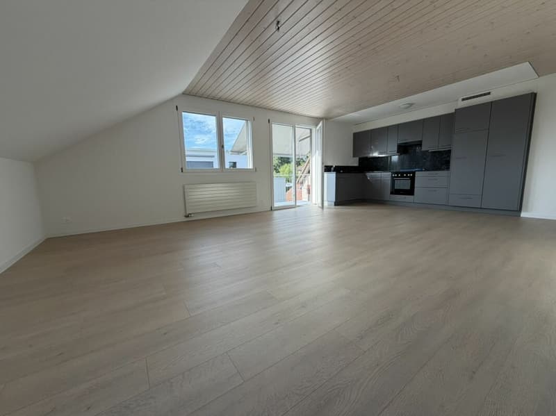 3.5 Zi helle Dach Wohnung (6)