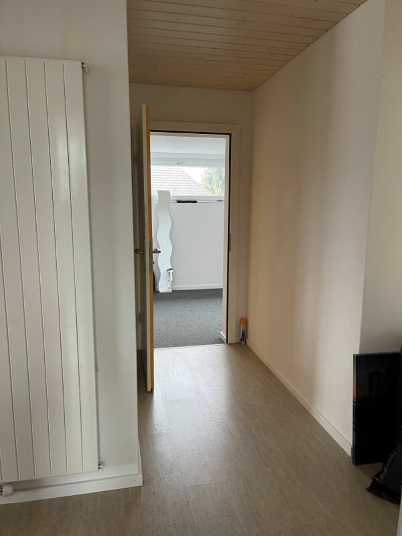 3.5 Zi helle Dach Wohnung (10)