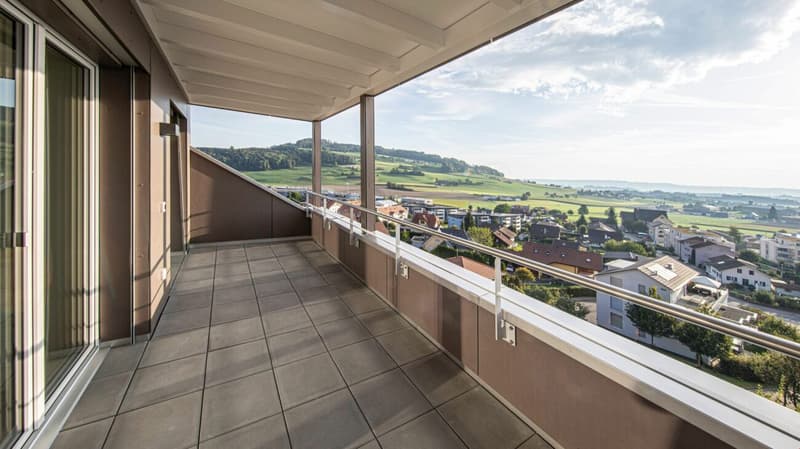 Stylische Penthouse Wohnung 2,5-Zi (2)