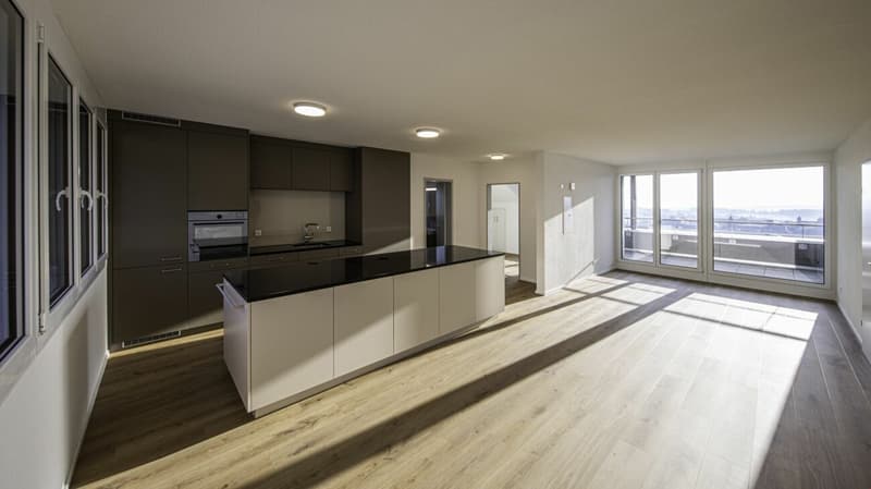 Stylische Penthouse Wohnung 2,5-Zi (6)