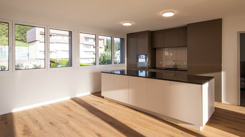Stylische Penthouse Wohnung 2,5-Zi (4)
