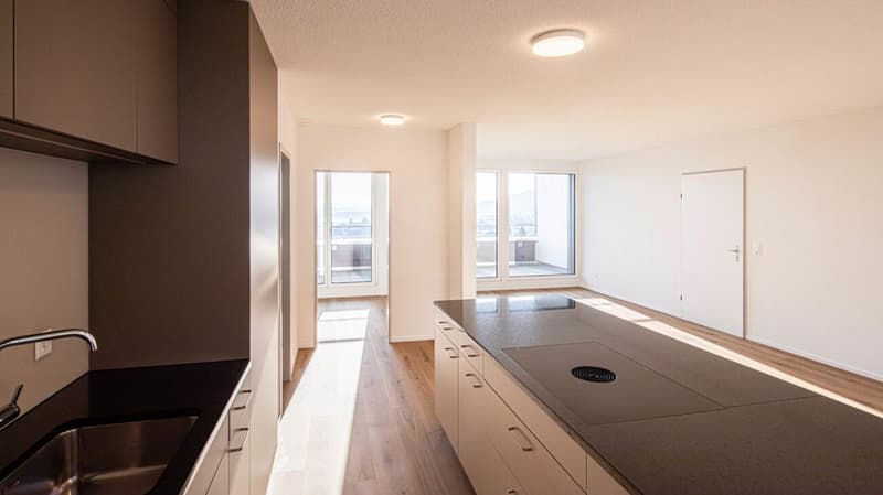Stylische Penthouse Wohnung 2,5-Zi (3)