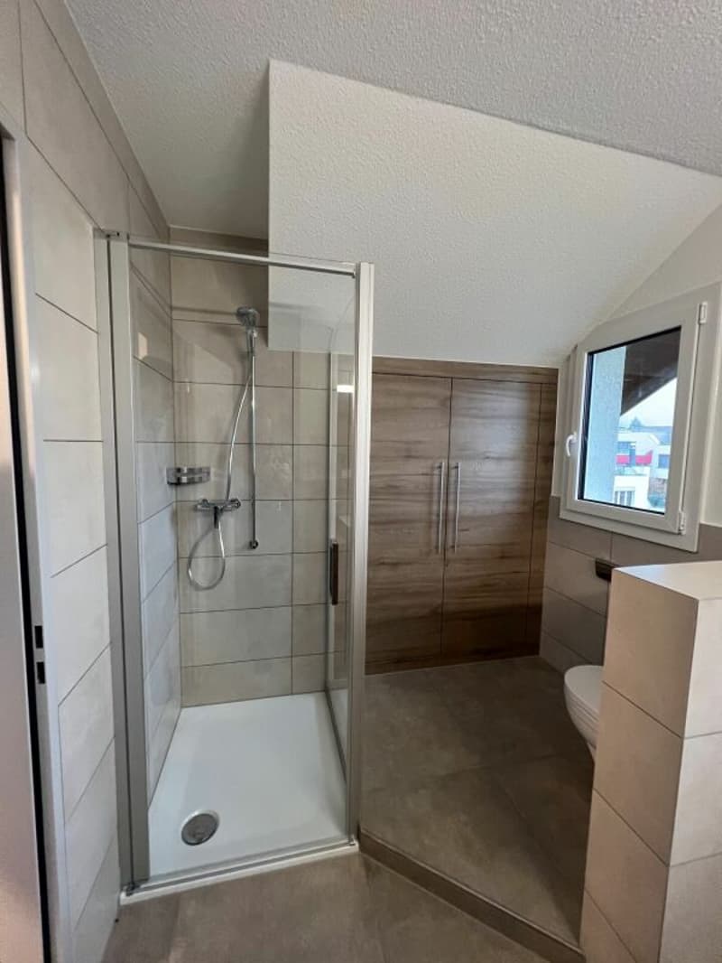 Stylische Penthouse Wohnung 2,5-Zi (8)