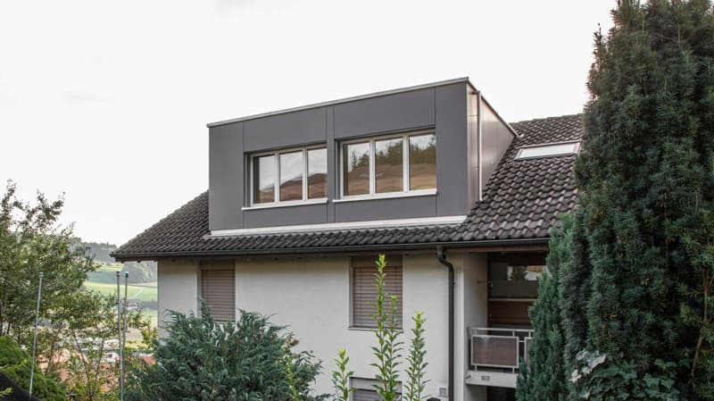 Stylische Penthouse Wohnung 2,5-Zi (13)