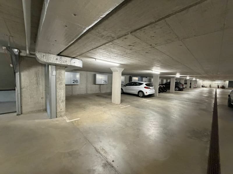 Einstellhallenplatz (3)