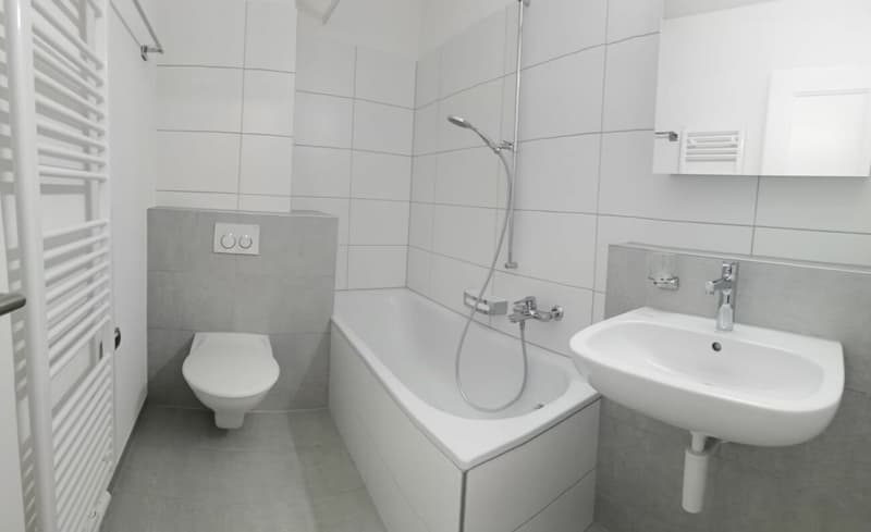 Schöne 3,5Zi-Wohnung an guter Lage (5)