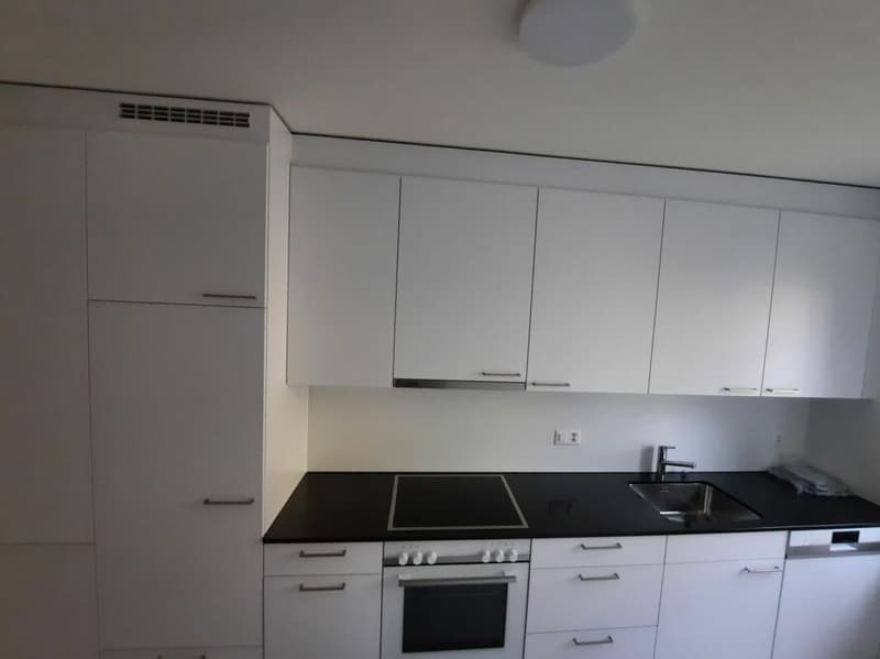 Schöne 3,5Zi-Wohnung an guter Lage (2)