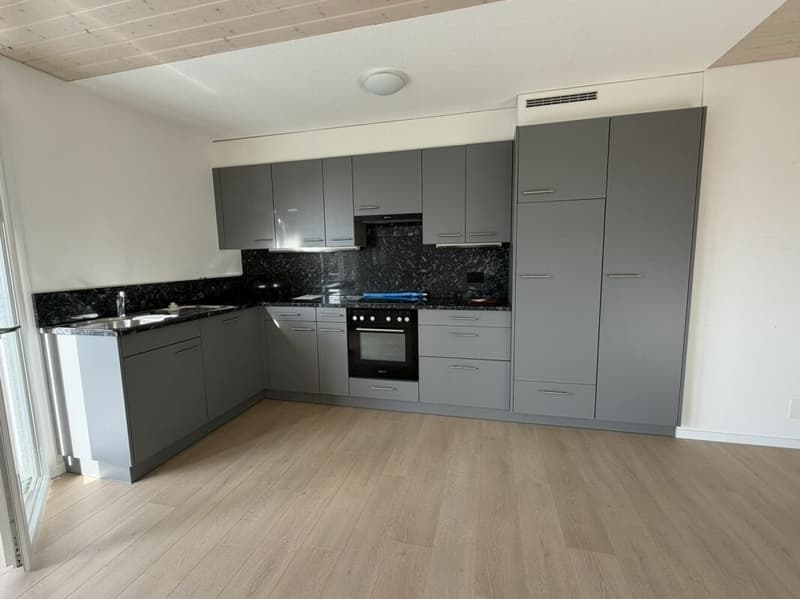 3.5 Zi helle Dach Wohnung (7)