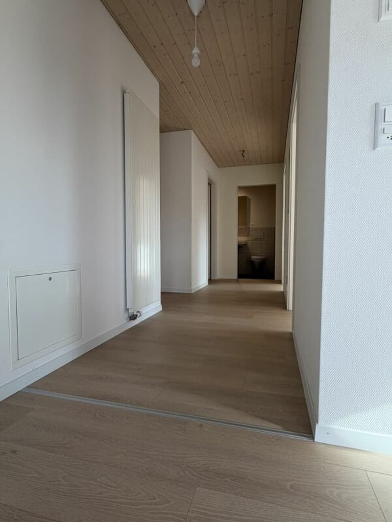 3.5 Zi helle Dach Wohnung (8)