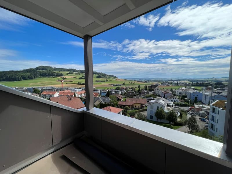 Stylische Penthouse Wohnung 2,5-Zi (2)