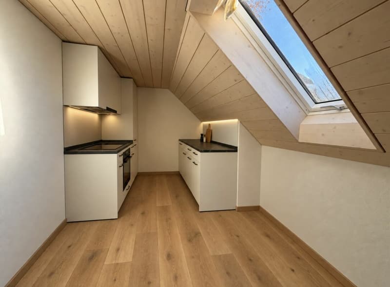 Erstbezug: 4,5 Zimmer in Bauernhaus (Whg#2) (7)