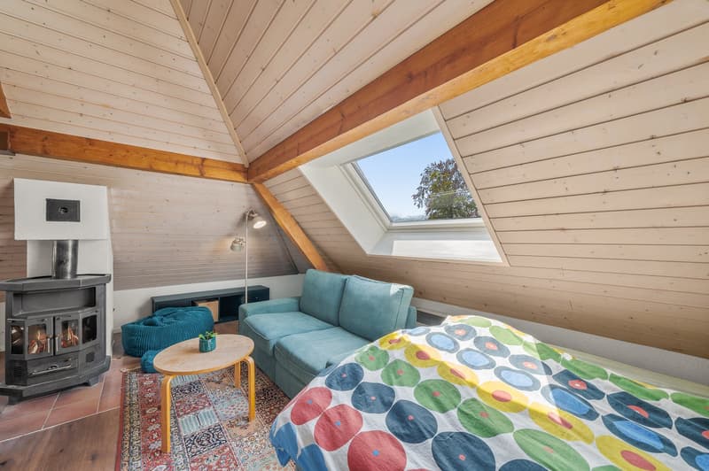 Superbe maison avec studio indépendant - proche de Pully et du Centre ville de Lausanne (17)