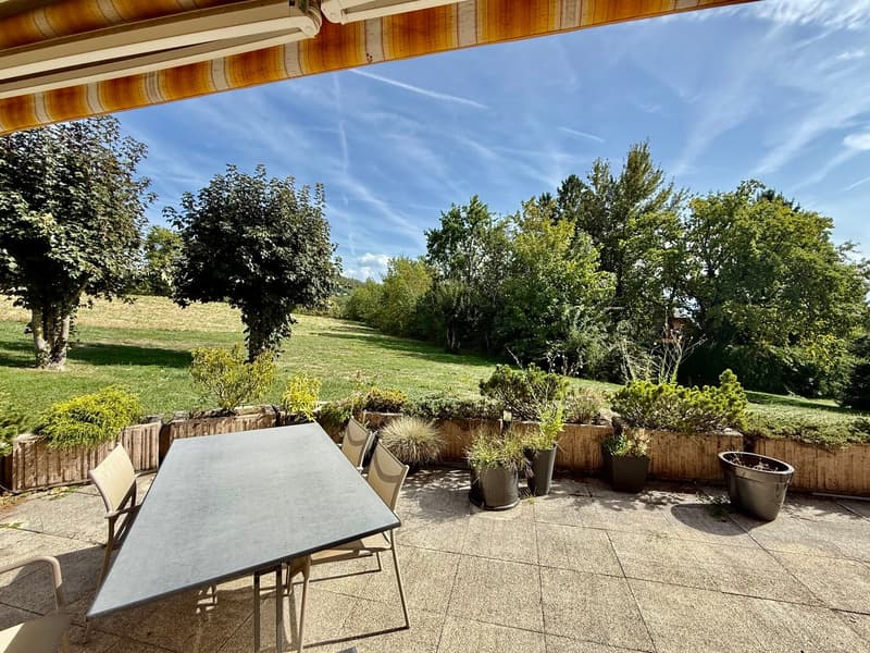 Bel appartement de 2,5 pièces avec grande terrasse et belle échappée sur le lac et les montagnes (1)
