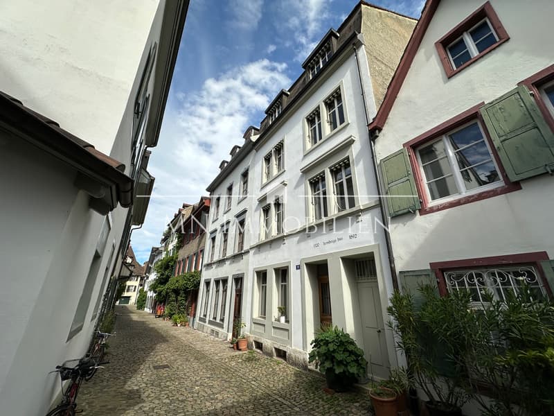 Appartement 2 Pièces au Rez-de-Chaussée - Charmant au Cœur de la Vieille Ville de Bâle (6)