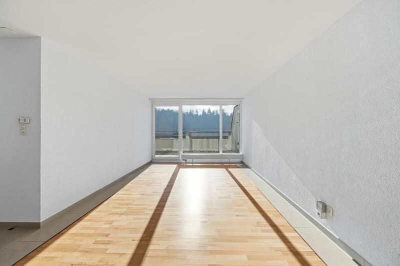 Appartamento di 4,5 locali ristrutturato con balcone spazioso, ascensore e garage - vivere a Zwingen (3)