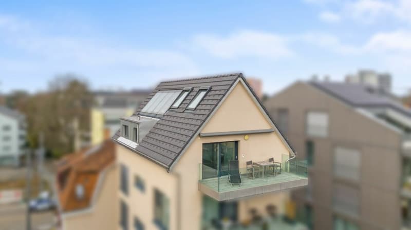 Vivere con stile ad Allschwil - Appartamento maisonnette con arredamento di alta qualità (13)