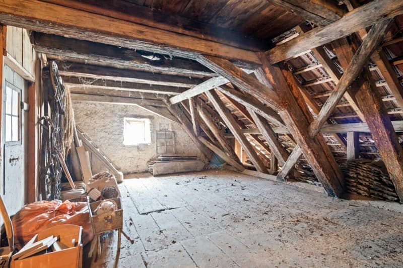 Wohnen im historischen Ursprung von Nusshof (17)