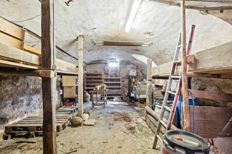Wohnen im historischen Ursprung von Nusshof (18)